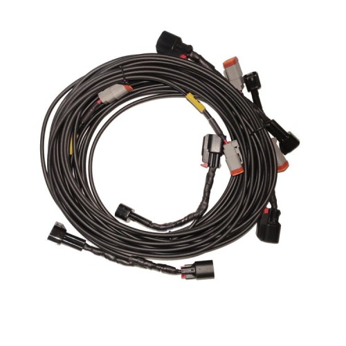 EV14 abs harness white small.jpg